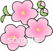 学習塾や教室向け桃の花 桃の節句無料イラストお試しフリー素材(カット)