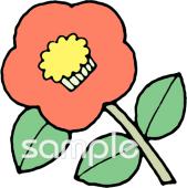 学習塾や教室向け椿 冬の花無料イラストお試しフリー素材(カット)