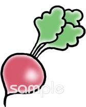 児童福祉施設向けラディッシュ無料イラストお試しフリー素材(カット)