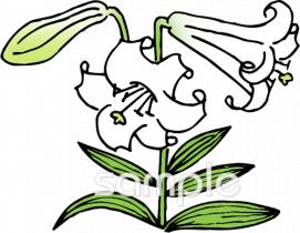 老人ホームやデイサービス向け無料イラストお試しフリー素材(カット)