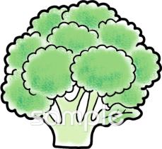 老人ホームやデイサービス向けブロッコリー無料イラストお試しフリー素材(カット)