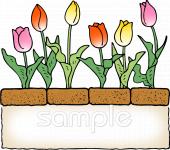 老人ホームやデイサービス向けチューリップ 花壇無料イラストお試しフリー素材(カット)