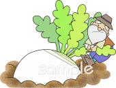 老人ホームやデイサービス向け大きなかぶ おじいさん無料イラストお試しフリー素材(カット)