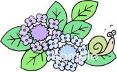 老人ホームやデイサービス向けカタツムリ 額紫陽花無料イラストお試しフリー素材(カット)