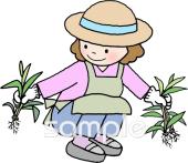 老人ホームやデイサービス向け女性 除草作業無料イラストお試しフリー素材(カット)