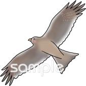 老人ホームやデイサービス向け飛ぶ とんび無料イラストお試しフリー素材(カット)