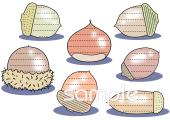 老人ホームやデイサービス向けめあてカード 木の実無料イラストお試しフリー素材(カット)