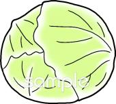 社会福祉施設向けキャベツ無料イラストお試しフリー素材(カット)