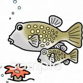 社会福祉施設向け海の生き物無料イラストお試しフリー素材(カット)