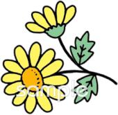 社会福祉施設向け小菊無料イラストお試しフリー素材(カット)