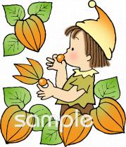 中学・高校向けホオズキ無料イラストお試しフリー素材(カット)