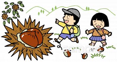 中学・高校向け野外学習 栗拾い イガグリ無料イラストお試しフリー素材(カット)