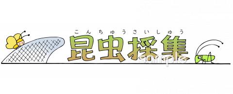 中学・高校向け昆虫採集 文字無料イラストお試しフリー素材(カット)