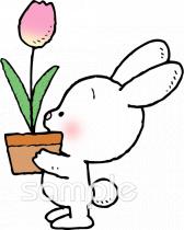 中学・高校向けチューリップ ウサギ無料イラストお試しフリー素材(カット)