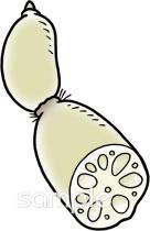 中学・高校向けレンコン無料イラストお試しフリー素材(カット)