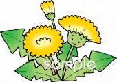 中学・高校向けタンポポ無料イラストお試しフリー素材(カット)