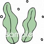 中学・高校向け海藻無料イラストお試しフリー素材(カット)