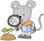 中学・高校向け虫めがね 観察無料イラストお試しフリー素材(カット)