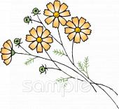 中学・高校向けコスモス無料イラストお試しフリー素材(カット)