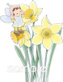 中学・高校向け水仙 花の精無料イラストお試しフリー素材(カット)