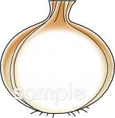 中学・高校向け文字枠 玉ねぎ無料イラストお試しフリー素材(カット)