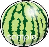 中学・高校向けすいか無料イラストお試しフリー素材(カット)