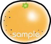 中学・高校向けみかん無料イラストお試しフリー素材(カット)