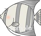 中学・高校向け熱帯魚無料イラストお試しフリー素材(カット)