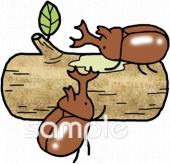 保育園・保育所向けカブトムシ 飼育無料イラストお試しフリー素材(カット)