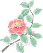 保育園・保育所向けツバキ無料イラストお試しフリー素材(カット)