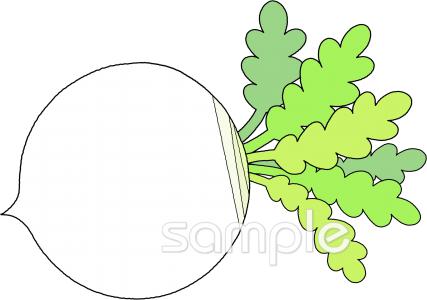 保健室向け野菜 かぶ無料イラストお試しフリー素材(カット)