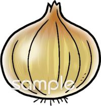 保健室向け玉ねぎ無料イラストお試しフリー素材(カット)