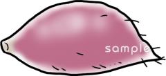 保健室向けさつまいも無料イラストお試しフリー素材(カット)
