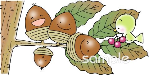 保健室向けどんぐり 小鳥無料イラストお試しフリー素材(カット)