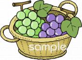 保健室向けブドウ無料イラストお試しフリー素材(カット)