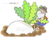 保健室向けおおきなかぶ ペープサート 型紙無料イラストお試しフリー素材(カット)