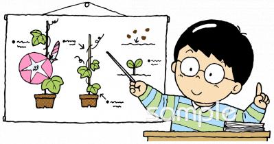 校長・教頭先生向け研究発表無料イラストお試しフリー素材(カット)