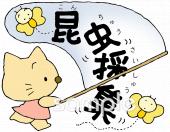 校長･教頭先生向け昆虫採集無料イラストお試しフリー素材(カット)