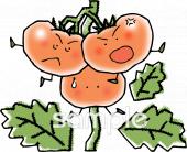 校長･教頭先生向け無料イラストお試しフリー素材(カット)