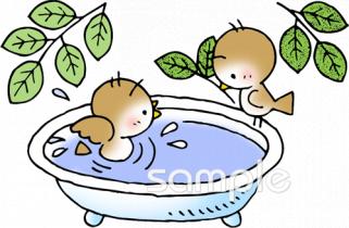 給食･栄養向け小鳥 水浴び無料イラストお試しフリー素材(カット)