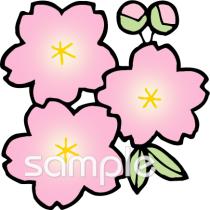 給食･栄養向け桜 花無料イラストお試しフリー素材(カット)