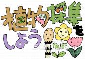 給食･栄養向け植物採集無料イラストお試しフリー素材(カット)
