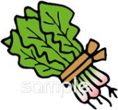 給食･栄養向けほうれん草無料イラストお試しフリー素材(カット)