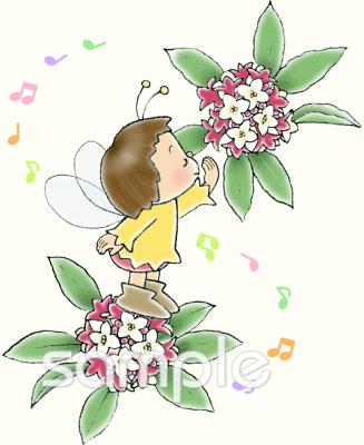 音楽の先生向け妖精 沈丁花無料イラストお試しフリー素材(カット)