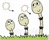 音楽の先生向けつくし 綿毛無料イラストお試しフリー素材(カット)