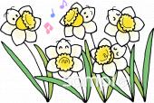 音楽の先生向け水仙無料イラストお試しフリー素材(カット)