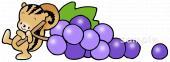 音楽の先生向けブドウ リス無料イラストお試しフリー素材(カット)