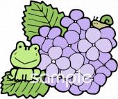 小学校向けカエル 紫陽花無料イラストお試しフリー素材(カット)