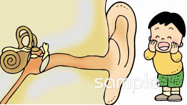 小学校向け耳のしくみ無料イラストお試しフリー素材(カット)