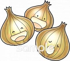 小学校向けタマネギ無料イラストお試しフリー素材(カット)